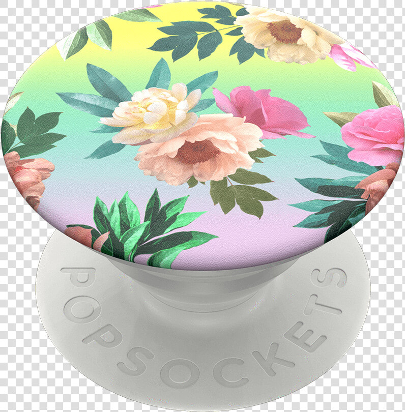 Bloemen Popsocket  HD Png DownloadTransparent PNG