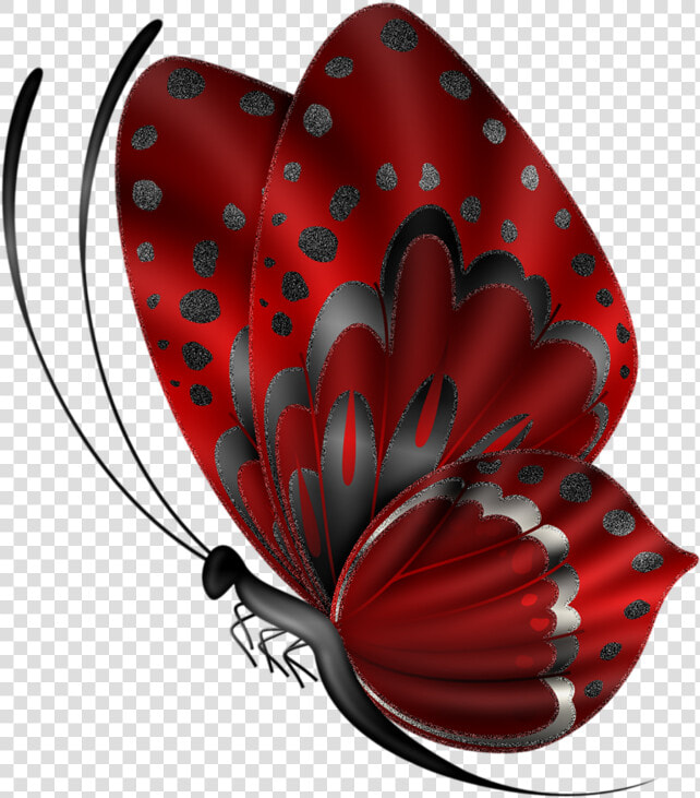 Borboleta Png  Transparent PngTransparent PNG