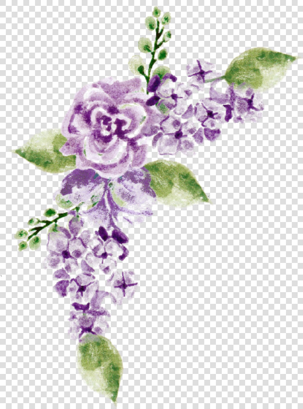  watercolor  flowers  purple  lavender  bouquet  bunch   Duranta  HD Png DownloadTransparent PNG