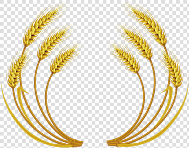 Free Download Wheat Vector Clipart Wheat Clip Art   Wheat Vector  HD Png DownloadTransparent PNG