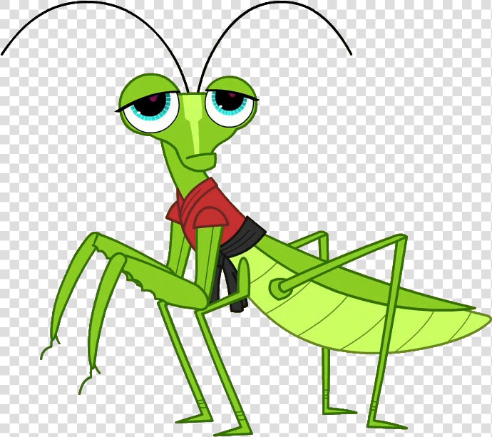 Cricket Clipart Insect Grasshopper   Grasshopper Cartoon Png  Transparent PngTransparent PNG