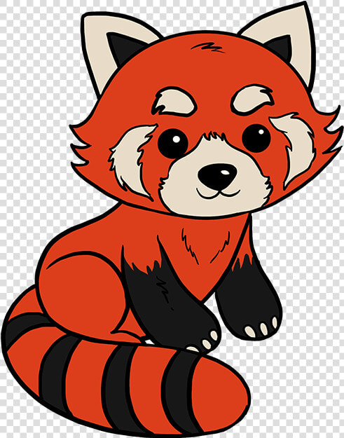 How To Draw Red Panda   Easy Red Panda Drawing Step By Step  HD Png DownloadTransparent PNG