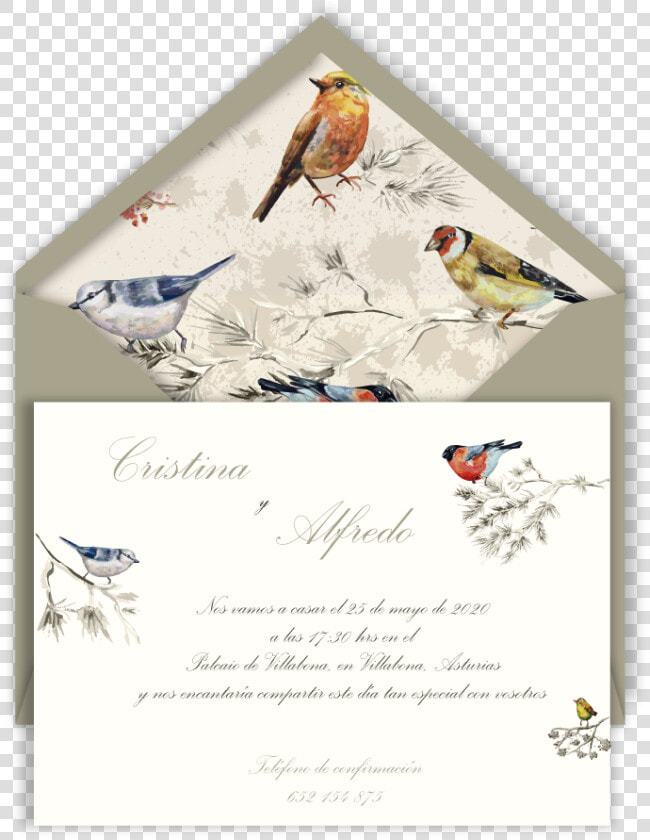 Inv Pajaritos Sb Arena   Bird Painting On Wall  HD Png DownloadTransparent PNG