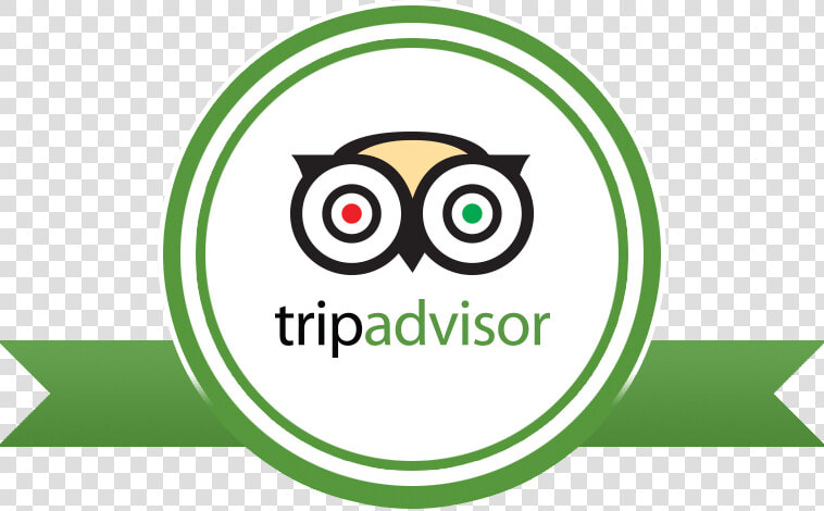 Reviews Witourist   Tripadvisor Png  Transparent PngTransparent PNG