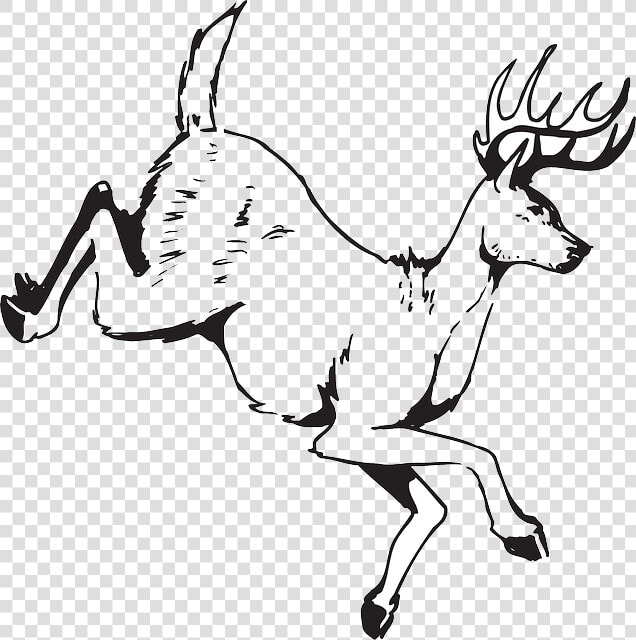 Outline  Drawing  Deer  Art  Jumping  Animal  Antlers   Draw A Running Deer  HD Png DownloadTransparent PNG