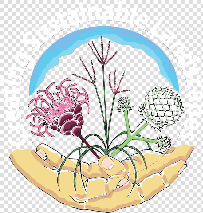 Lead Drawing Foxglove Flower   Illustration  HD Png DownloadTransparent PNG