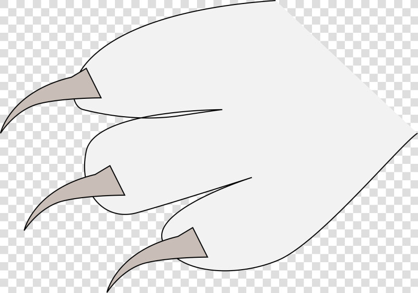 Claws Png   Claw   Claw  Transparent PngTransparent PNG