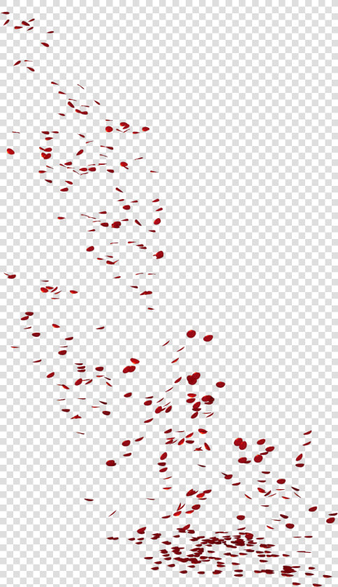  ftestickers  flowers  rose  petals  falling  red   Transparent Flower Rain Png  Png DownloadTransparent PNG