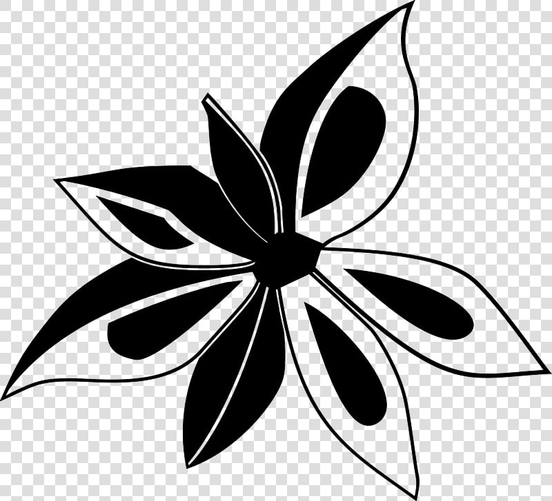 Salt Clip Art   Star Anise Clipart  HD Png DownloadTransparent PNG