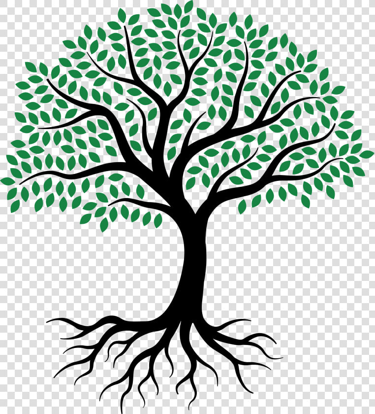 Drawing Root Tree Sketch   Simple Olive Tree Drawing  HD Png DownloadTransparent PNG