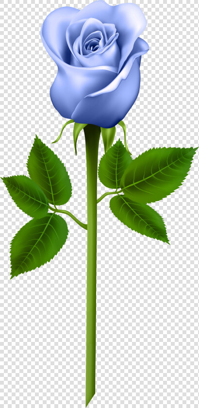 Purple Rose Clipart   Png Download   Blue Rose Png  Transparent PngTransparent PNG