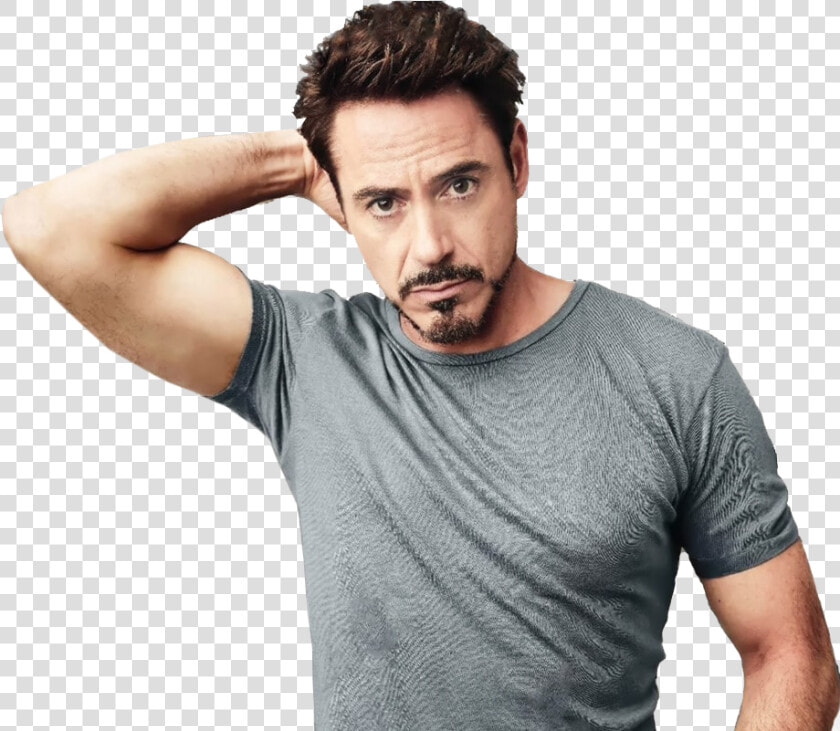 Robert Downey Jr Png  Transparent PngTransparent PNG