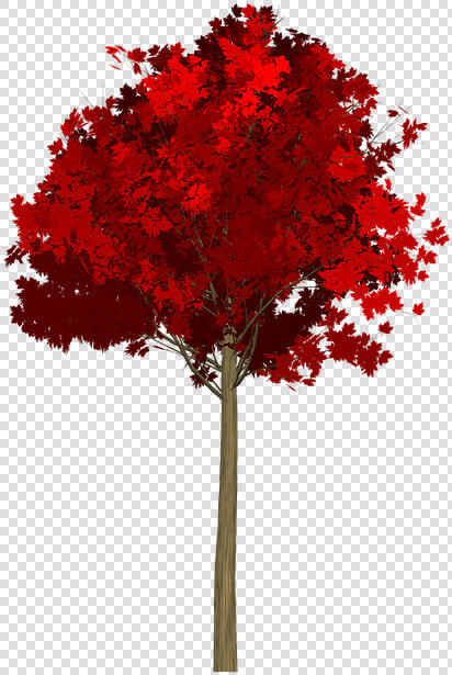 Maple  Tree  Painted Tree  Red  Nature  Image Painting   Tree Red Png  Transparent PngTransparent PNG