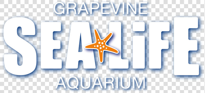 Sea Life Centre  HD Png DownloadTransparent PNG