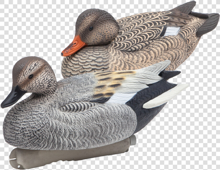 Floating Gadwall Duck Hunting Decoys From Final Approach   Gadwall Decoys  HD Png DownloadTransparent PNG