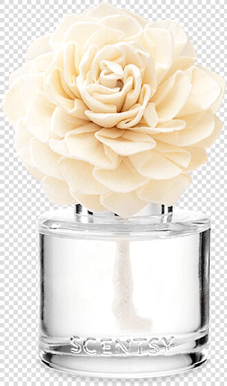 Fragrance Flower Scentsy  HD Png DownloadTransparent PNG