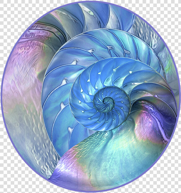 Fractal Art  HD Png DownloadTransparent PNG