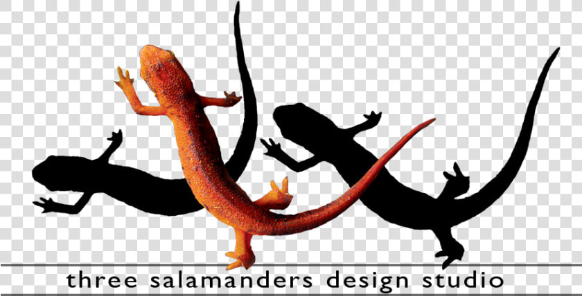 Three Salamanders Graphic Design Video Editing And  HD Png DownloadTransparent PNG