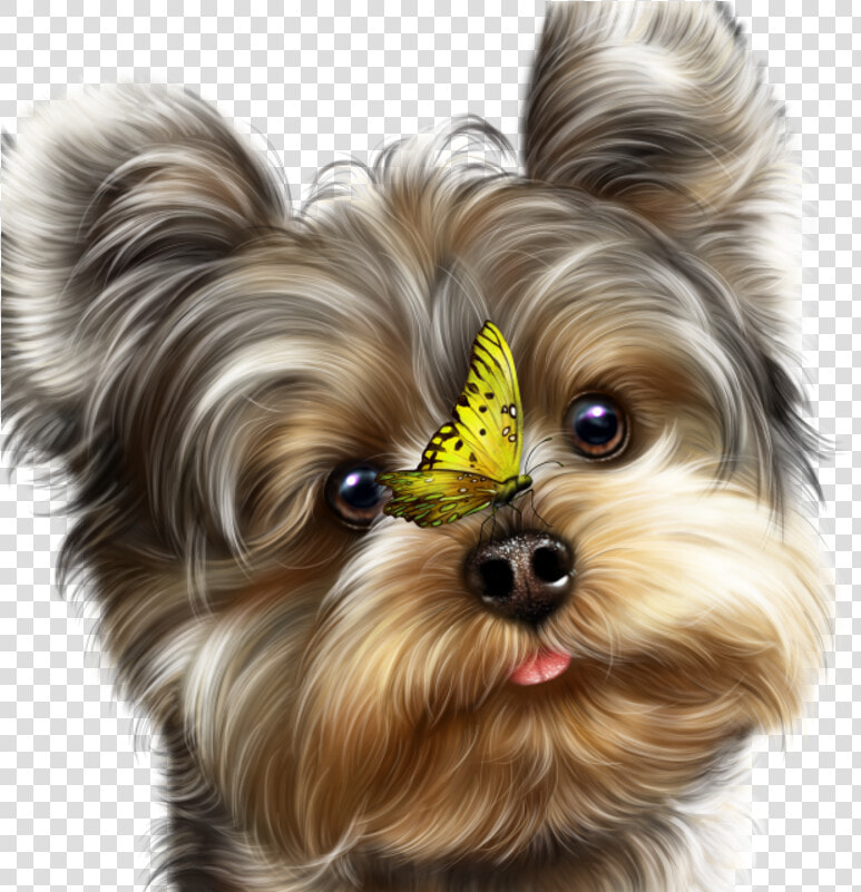 Fairy Yorkie And Butterflies   Yorkies Png  Transparent PngTransparent PNG