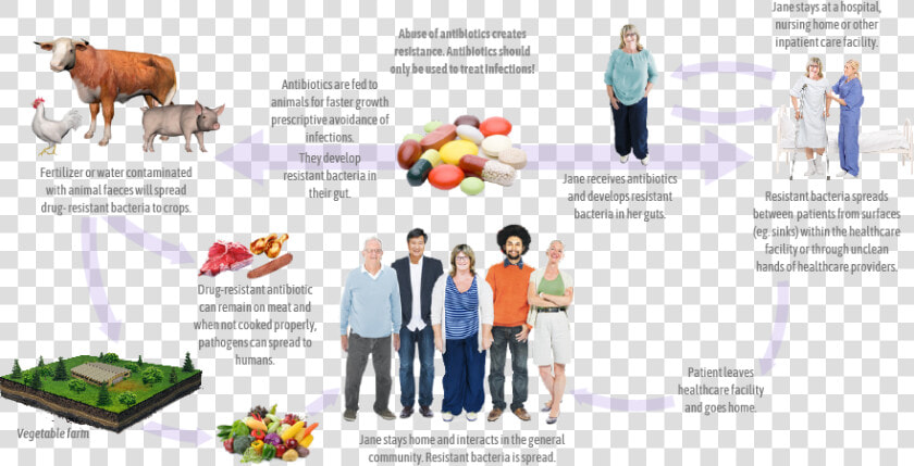 Cycle Of Antimicrobial Resistance  HD Png DownloadTransparent PNG