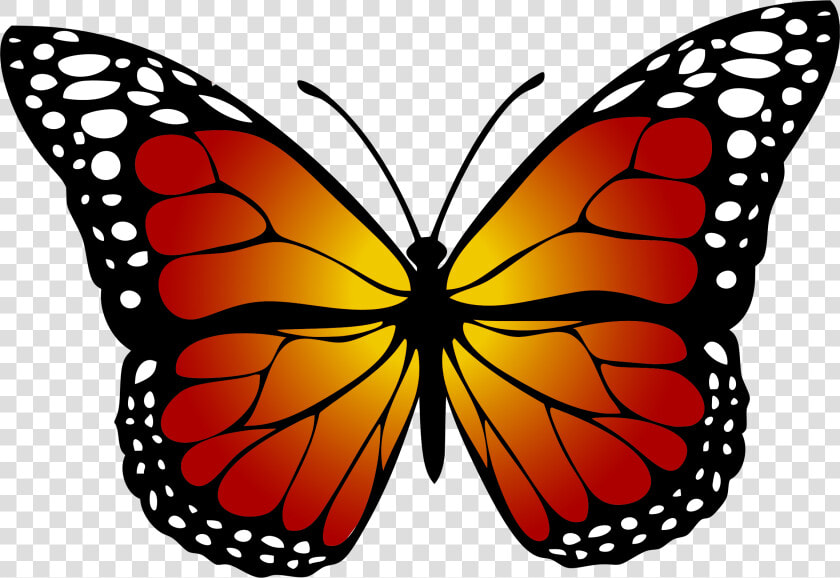 Butterfly Monarch Abstract Free Picture   Monarch Butterfly Clipart  HD Png DownloadTransparent PNG