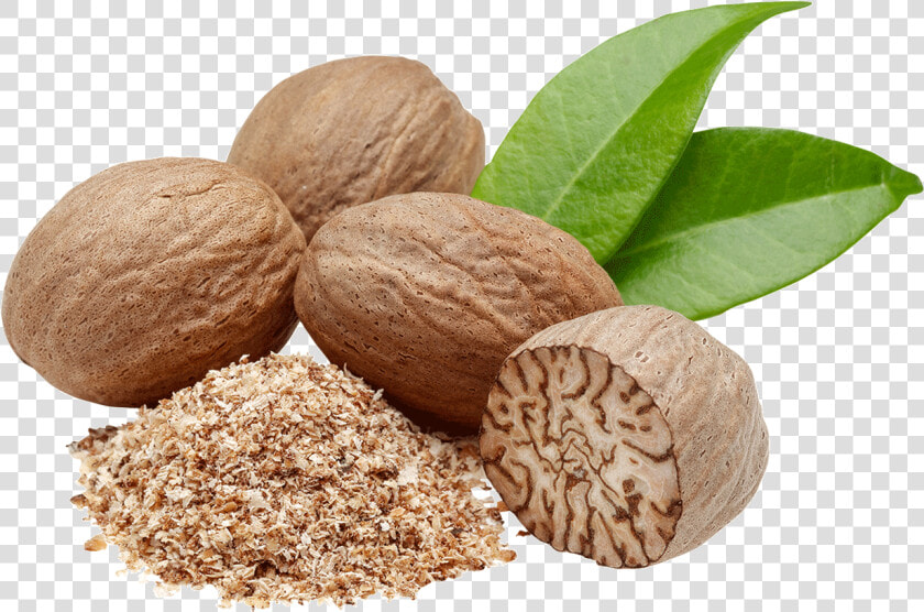 Nutmeg Png  Transparent PngTransparent PNG