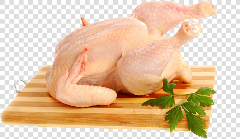 Full Chicken Png Free Background   Daging Ayam Segar  Transparent PngTransparent PNG