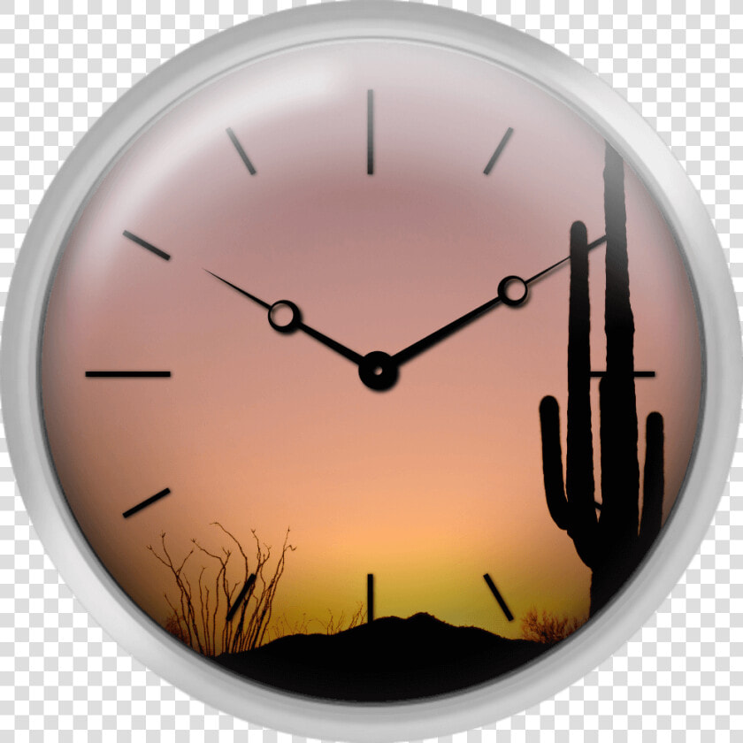 Usa Arizona Tucson Saguaro National Park Saguaro Cactus   Sunset  HD Png DownloadTransparent PNG