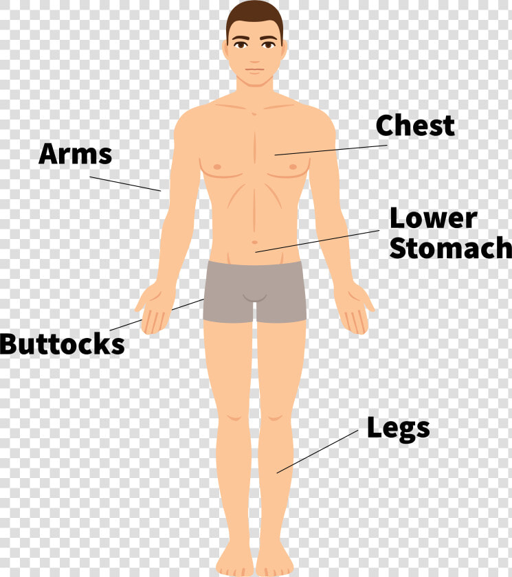 Barechested  HD Png DownloadTransparent PNG