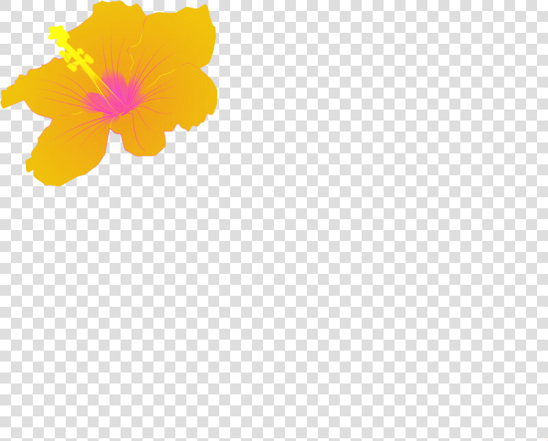 Hibiscus   Hibiscus Clip Art  HD Png DownloadTransparent PNG