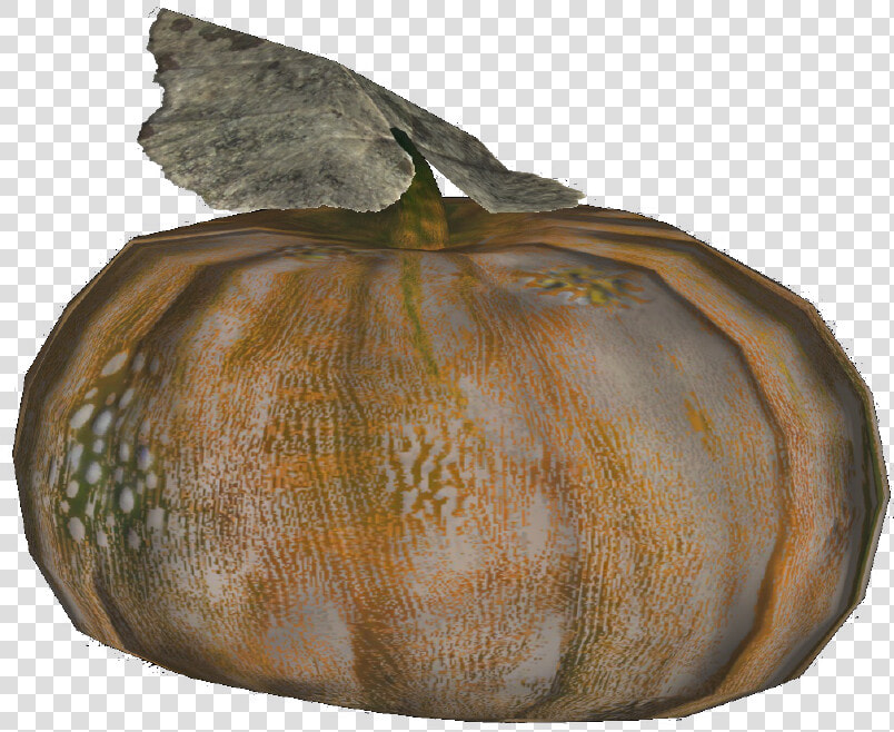 Fallout Gourd  HD Png DownloadTransparent PNG