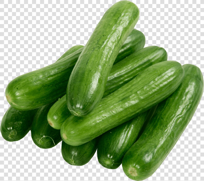 Cucumbers Png  Transparent PngTransparent PNG