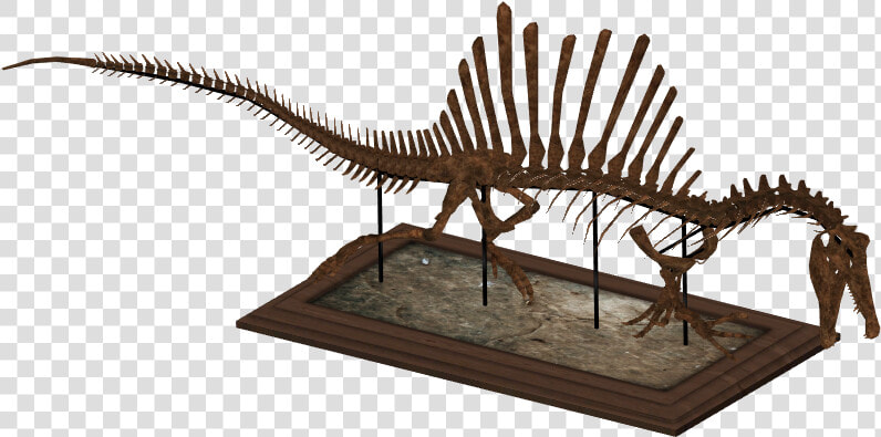 Zt2 Dinosaur Skeletons   Png Download   Lesothosaurus  Transparent PngTransparent PNG