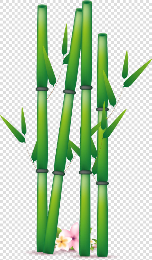 Png Transparent Free Images   Bamboo Leaf Bamboo Free Clipart  Png DownloadTransparent PNG