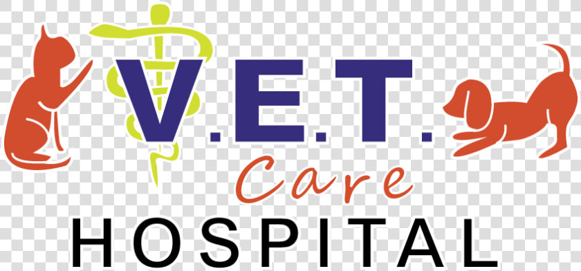 Vet Care Hospital   Graphic Design  HD Png DownloadTransparent PNG