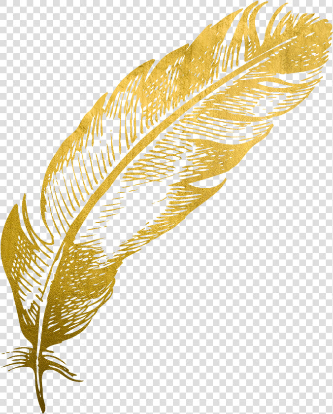  gold  feather  feathers  native  boho  pretty  decals   Sticker  HD Png DownloadTransparent PNG