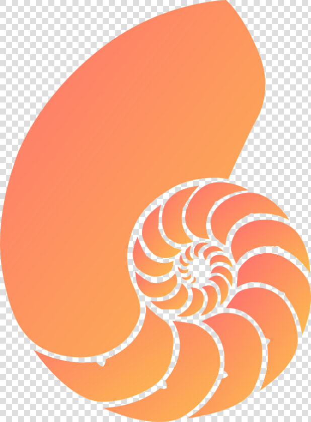 Nautilus Shell Clipart  HD Png DownloadTransparent PNG