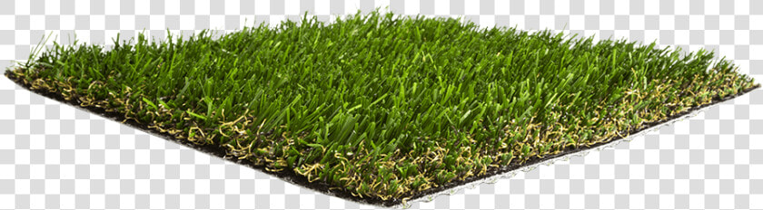 Artificial Grass Liquidators Turf Agl California Gold   Lawn  HD Png DownloadTransparent PNG