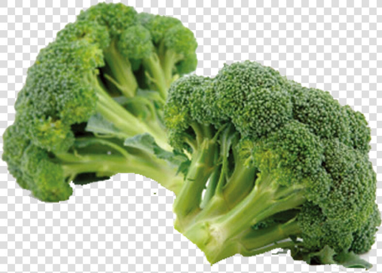 Broccoli Eating Vegetable Sulforaphane Chinese Cabbage   Information Of Broccoli  HD Png DownloadTransparent PNG