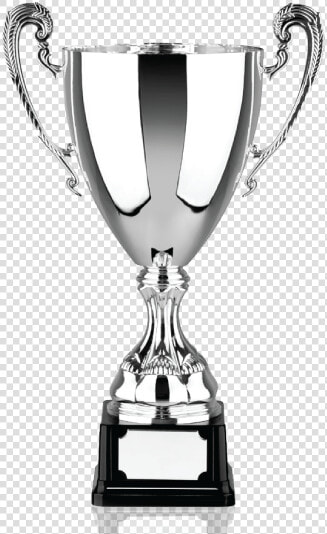 Vip Acrylic Trophies  HD Png DownloadTransparent PNG