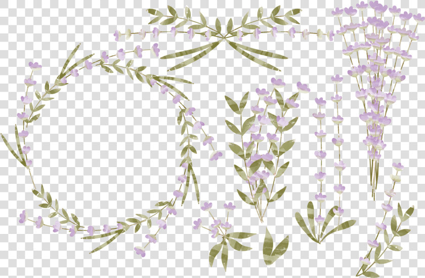 Flower Euclidean Watercolor Painting   Watercolor Lavender Transparent Background Png  Png DownloadTransparent PNG