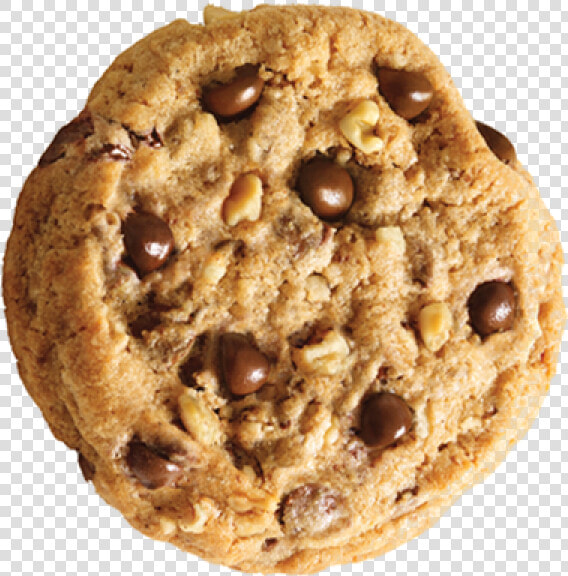 Cookie Png Free Download   Chocolate Chip Cookie Png Transparent  Png DownloadTransparent PNG