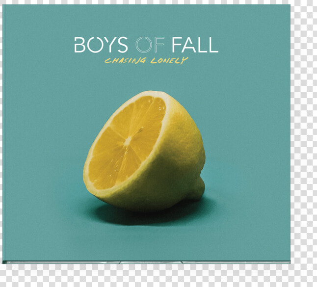 Boysoffall Cl 00 Trans   Meyer Lemon  HD Png DownloadTransparent PNG