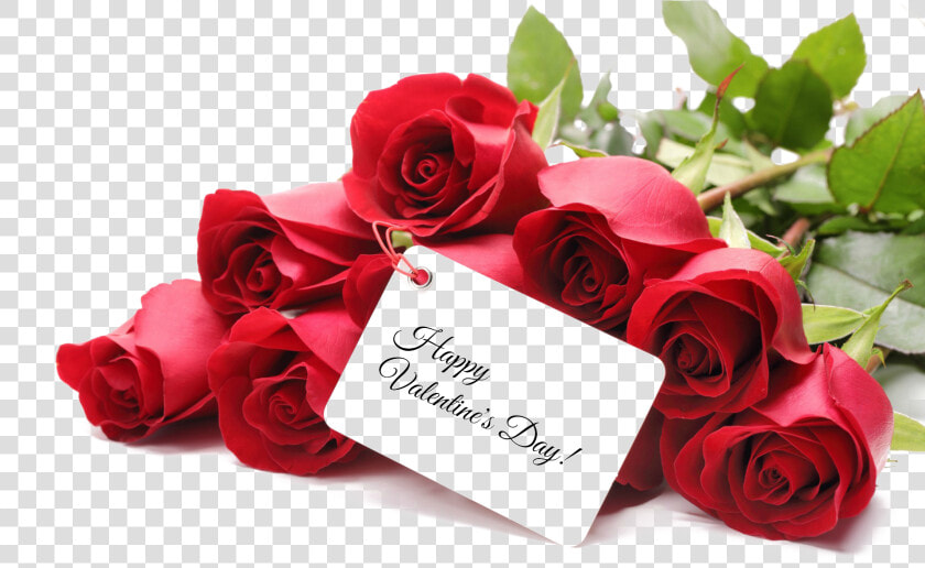 Valentines Day Png Image   Happy Valentine Day With Rose  Transparent PngTransparent PNG