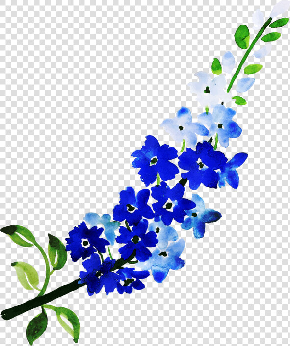 Delphinium  HD Png DownloadTransparent PNG