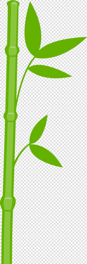 One Clipart Bamboo   Bambu Panda Png  Transparent PngTransparent PNG