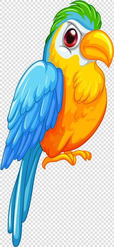 P For Parrot   Попугай Вектор  HD Png DownloadTransparent PNG