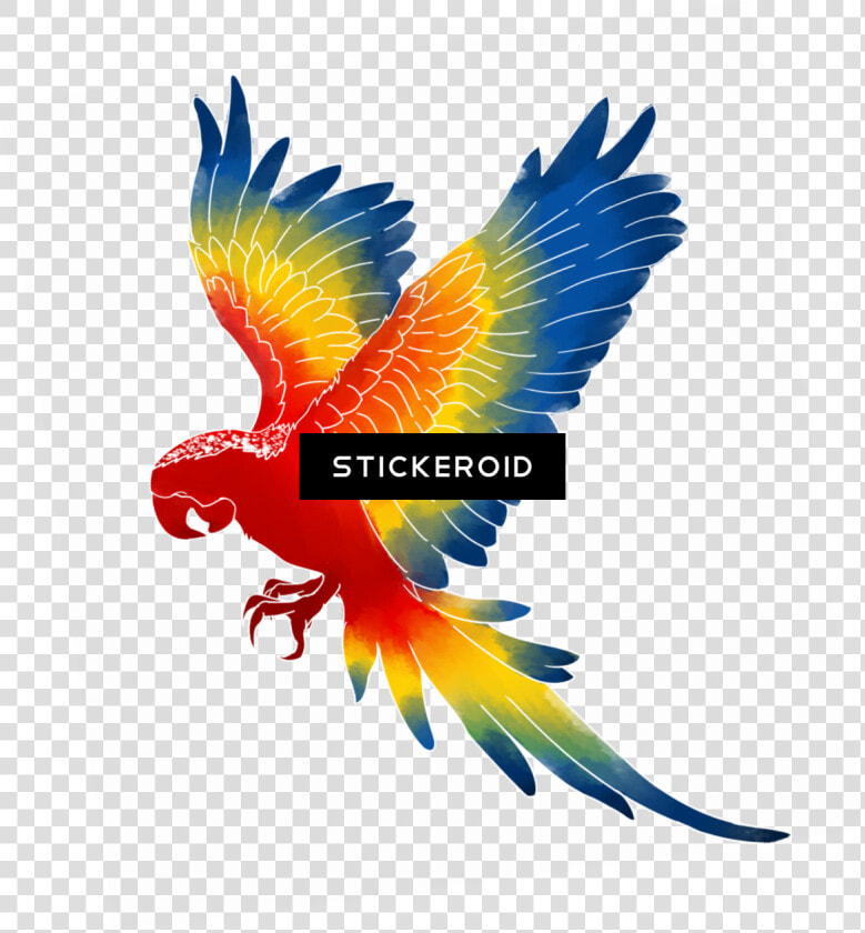 Macaw Png   Png Download   Clipart Macaw Png  Transparent PngTransparent PNG