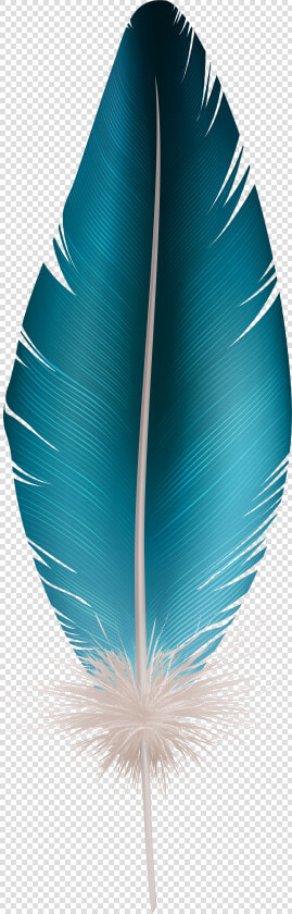 Feather Clip Art Blue   Transparent Background Feather Clipart  HD Png DownloadTransparent PNG