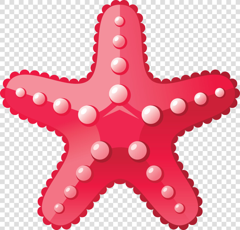 Starfish Png   Estrela Do Mar Png  Transparent PngTransparent PNG